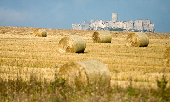 kassa_maraton_2010_0016