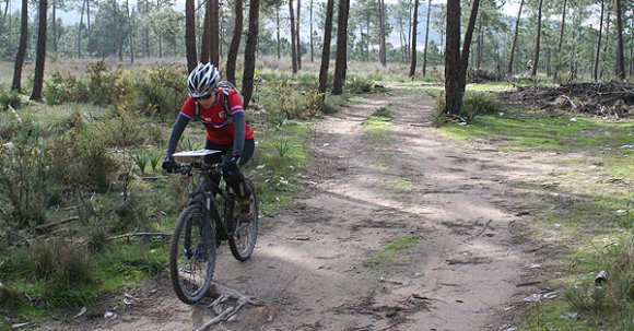 OPEN_ORI_BTT_DO_ATV4 OPEN_ORI_BTT_DO_ATV4