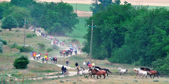 mtb_piknik2 mtb_piknik2