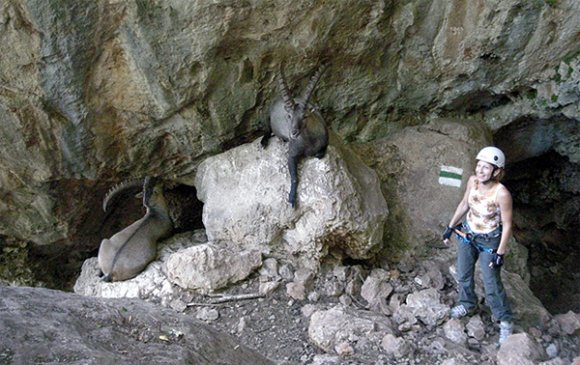 hohe_wand_hegymaszas_10 hohe_wand_hegymaszas_10