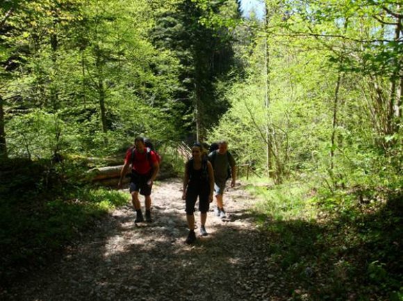 grazer_bergland7